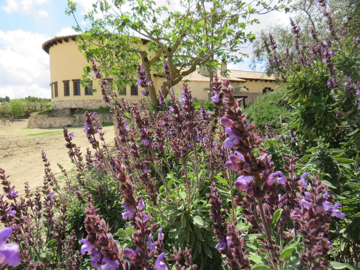 Hotel Enoturismo Mainetes Fuente-Álamo Kültér fotó